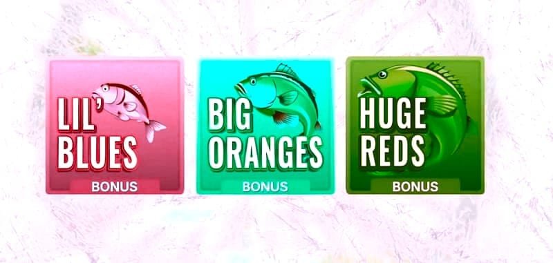 Ice Fishing Live pierwsze wrażenia – Porównanie z innymi game shows Evolution